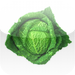 Cordic Cabbage Cars